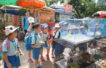 Foto Kunjungan ke Pameran Flora dan Fauna di Lapangan Banteng 12 dsc01211