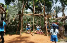 Foto Kunjungan ke Pameran Flora dan Fauna di Lapangan Banteng 15 dsc01226