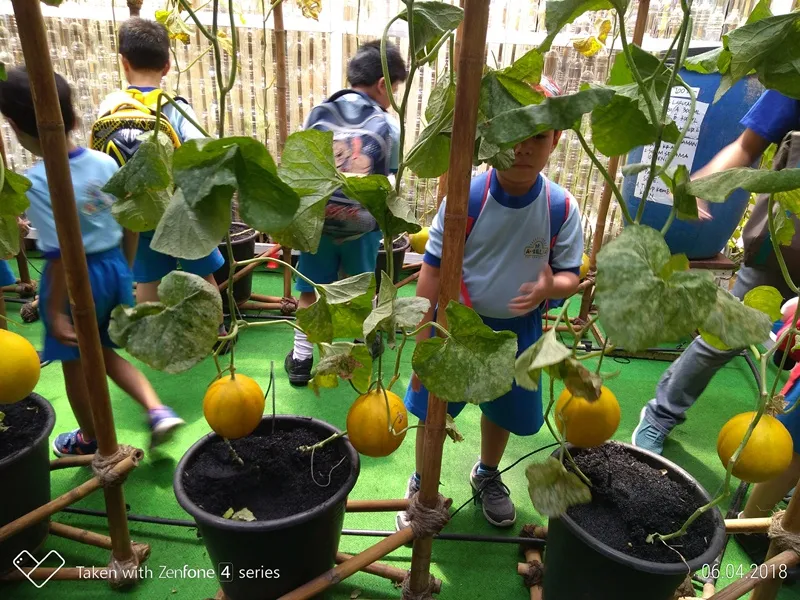 Foto Kunjungan ke Replika Mekarsari di MAG 4 p_20180406_103655_p